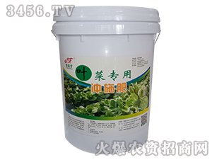 �~�ˌ��Û_ʩ��-�ӱ��S