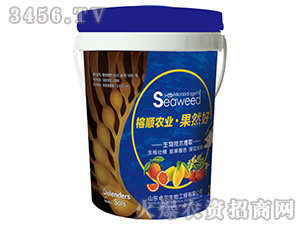 ΢�����-����r(n��ng)�I(y��)����Ȼ��-׿������