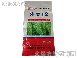 ����12-����-܎��N�I(y��)