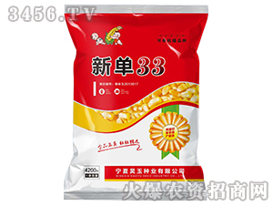 ��33-���׷N��-܎��N�I(y��)