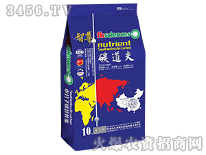 ̼����-����-�r(n��ng)����