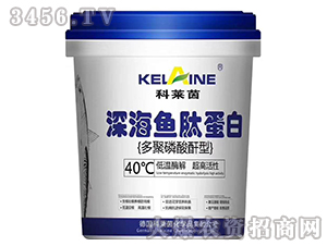 ��~�ĵ���-���R��-�Y�����