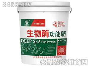 ����ø���ܷ�-��ʢ���r(n��ng)