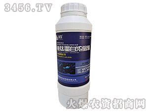 �~�ĵ��ם�sҺ-�ػ�-�Y�����