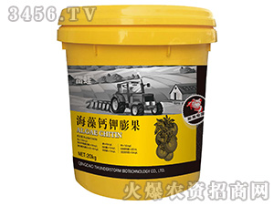 �����}����-����-��������