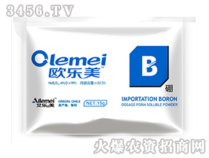 ������-�W����-��