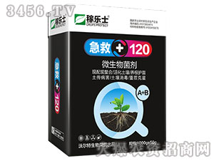 ΢�������-����120-�ژ�(l��)ʿ