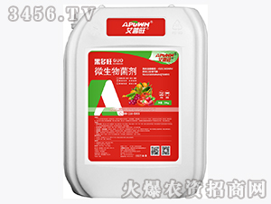 ΢�������-������-������