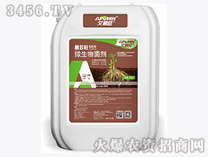 ΢�������-������-������