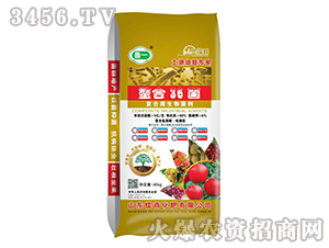 �ͺ�΢�������-����36��-����