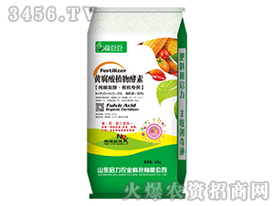 �S����ֲ�����-������-�����r(n��ng)�I(y��)