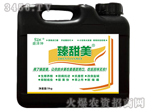 �������_ʩ��-ʢ����