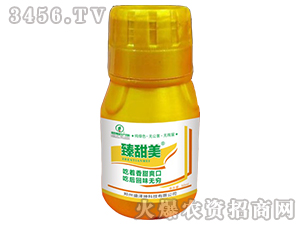 ������-ʢ����