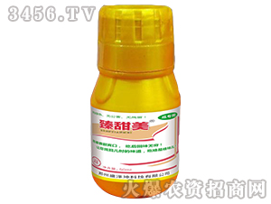 ���������ό��ã�-ʢ����