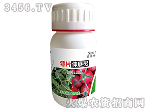 ��Ƭ��չ�`-ʢ����