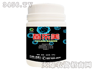 ΢�������-������-�ɰ��r�I(y��)