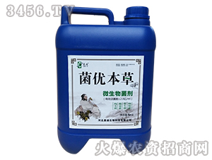 ΢�������-����(y��u)����-����