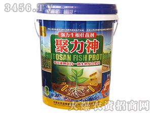 �����������焩-������-������