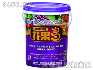 �����\�ʻ�����-������