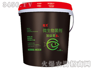 ħ�`΢�������-������8̖(h��o)-��������