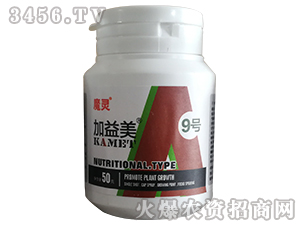 ������9̖(h��o)-��������