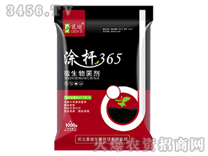 ΢�������-Ϳ�U365-����