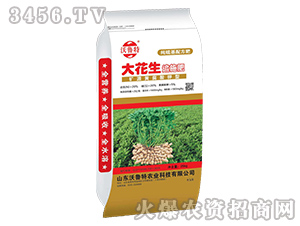 ����׷ʩ��-������