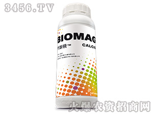 �}���V-Ҽ������