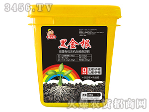 �����ЙC�o�C�����Ҹ���-�ڽ��-��T��