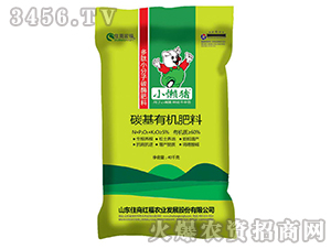 ̼���ЙC����-С���i-ס�̺긣