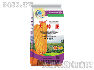 �����-�S����-���Ԫ