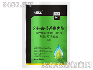 24-���|̦�؃�(n��i)��-����(y��u)-��������