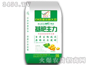 ����������EM����l(f��)�ʹ󶹣�-�p�S��-�S������