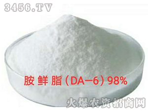 ���r����DA-6��-�������