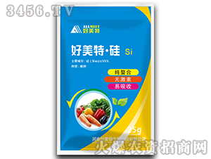 ���Ϲ�-������