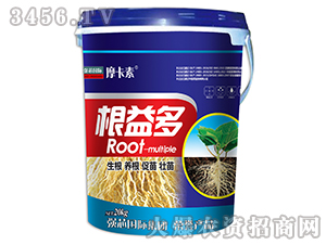 �����-Ħ����-��о