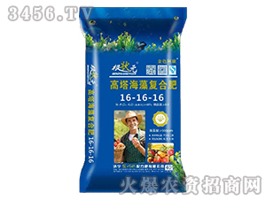 ���������(f��)�Ϸ�16-16-16-����Ԫ-��W(w��ng)(li��n)