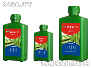 ���ǌ��ð���������Һ�ķ�-Ħ����-��о