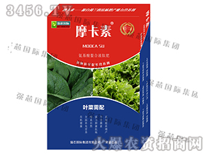 �~�ˌ��ð���������Һ�ķ�-Ħ����