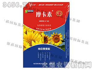 ���տ����ð���������Һ�ķ�-Ħ����