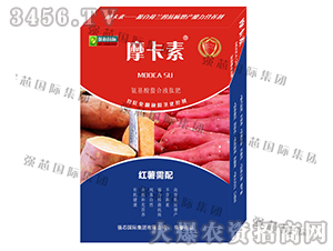 �t�팣�ð���������Һ�ķ�-Ħ����