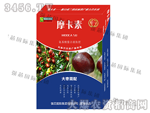 �󗗌��ð���������Һ�ķ�-Ħ����