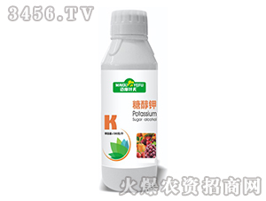 �Ǵ��-�~���~��