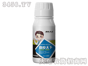 ˪������-����(l��)����-̩��(l��i)��(gu��)�H