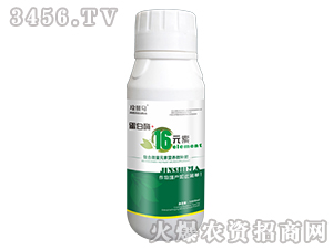 ����ø+16Ԫ��-�n�{�R-̩����H