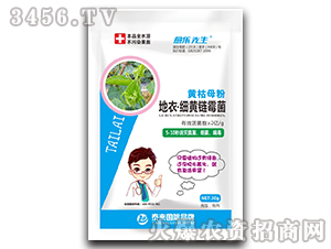 �S��ĸ�۵��¡���(x��)�S�ù��-����(l��)����-̩��(l��i)��(gu��)�H