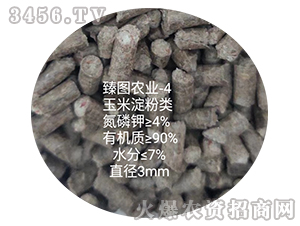 ���׵����-ʩ����