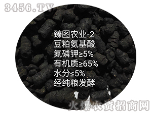 ���ɰ������-ʩ����