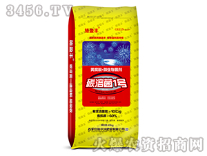 �S���ᡤ΢�������-̼�ܾ�1̖-ʩ����