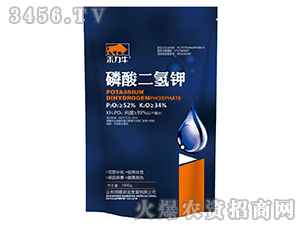 ��������-����ţ-���